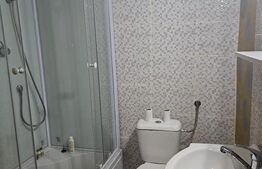 Casă individuala, 160 mp utili, teren 530 mp – Lipovei