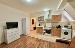 Apartament cu 2 camere, 40 mp, zona Complexul Studențesc