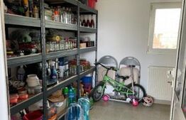 Casa individuala 5 camere, P+M Mosnita Noua, teren 700 mp