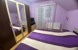 Casa individuala 5 camere, P+M Mosnita Noua, teren 700 mp