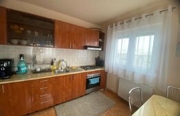 Casa individuala 5 camere, P+M Mosnita Noua, teren 700 mp