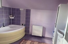 Casa individuala 5 camere, P+M Mosnita Noua, teren 700 mp