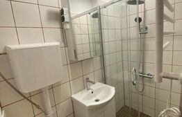 Garsoniera de vanzare, 17 mp, zona Buziasului 