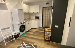 Garsoniera de vanzare, 17 mp, zona Buziasului 