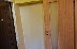 Garsoniera, zona Lipovei