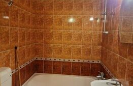 Garsoniera, zona Lipovei