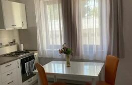 VILĂ DE INVESTIȚIE – CU 4 APARTAMENTE ȘI 2 SPAȚII COMERCIALE ÎNCHIRIATE