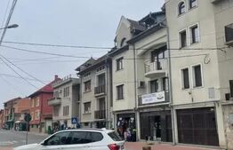 Clădire investiție cu venit -SAD inchiriat- Lugoj- Strada Splaiul Morilor