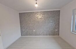 Casa 4 camere Moșnița Noua