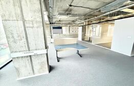 Spațiu de birouri de închiriat – 250 mp, parțial finisat – zona Soarelui