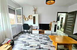 Apartament 2 camere, 40 mp, zona Dacia