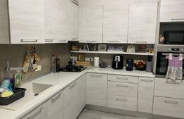 Casa familiala pe parter in Mosnita - Oaza de liniște, la doar un pas de oras