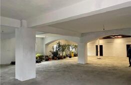 Spațiu comercial, 270 mp, zona Dâmbovița