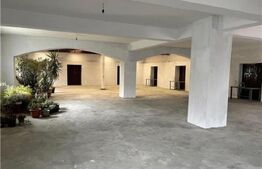 Spațiu comercial, 270 mp, zona Dâmbovița