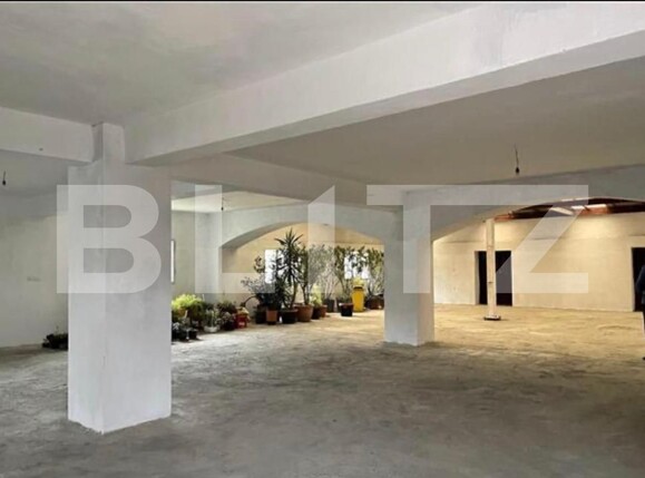 Spațiu comercial de închiriat Dambovita - 183734SIC | BLITZ Timișoara | Poza1