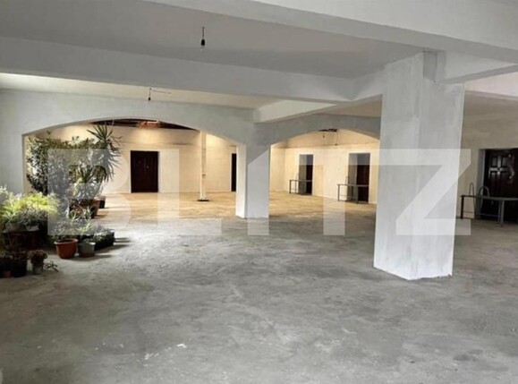 Spațiu comercial de închiriat Dambovita - 183734SIC | BLITZ Timișoara | Poza2