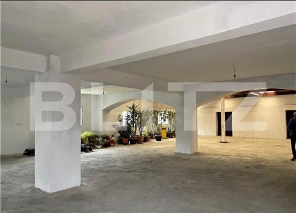 Spațiu comercial de închiriat Dambovita - 183734SIC | BLITZ Timișoara | Poza1