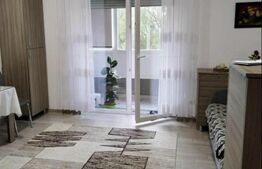 Apartament cu 1 camera in zona Penny Giroc