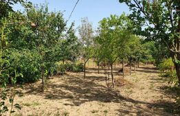 DE VANZARE Casa cu gradina mare în Lugoj