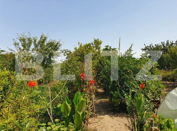 Casa de vânzare 4 camere Lugoj - 183861CV | BLITZ Timișoara | Poza4