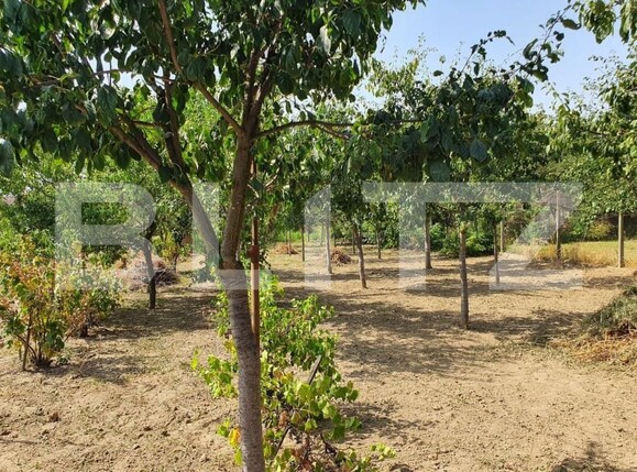 Casa de vânzare 4 camere Lugoj - 183861CV | BLITZ Timișoara | Poza5