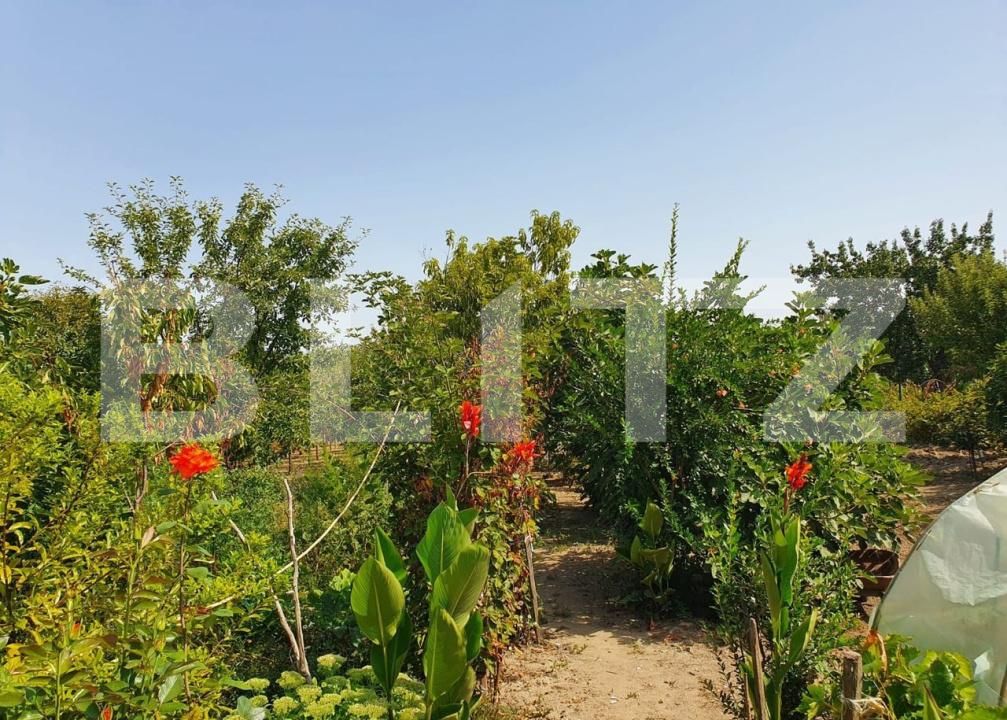 Casa de vânzare 4 camere Lugoj - 183861CV | BLITZ Timișoara | Poza4