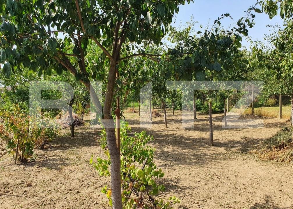 Casa de vânzare 4 camere Lugoj - 183861CV | BLITZ Timișoara | Poza5