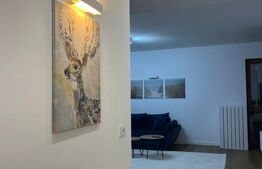 Apartament Premium la Prima Închiriere – 66 mp, Dumbrăvița, Complet Utilat