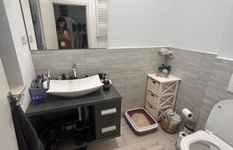 Casă Duplex modernă Dumbrăvița , zonă selectă 