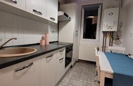 Apartament 2 camere, 44 mp, zona Garii 