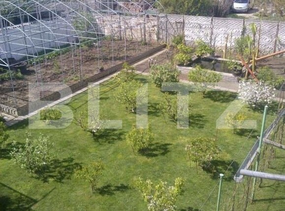 Casa de vânzare 12 camere Balcescu - 184084CV | BLITZ Timișoara | Poza5