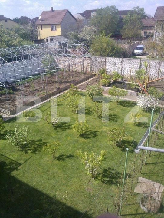 Casa de vânzare 12 camere Balcescu - 184084CV | BLITZ Timișoara | Poza5