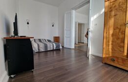 Apartament cu vedere spectaculoasă, lumină naturală și farmec istoric -Nokia