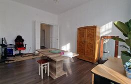 Apartament cu vedere spectaculoasă, lumină naturală și farmec istoric -Nokia