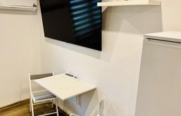 Garsonieră complet renovată în zona Complex