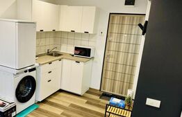 Garsonieră complet renovată în zona Complex