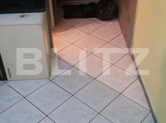 Garsonieră de vânzare Sagului - 184430AV | BLITZ Timișoara | Poza2