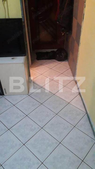 Garsonieră de vânzare Sagului - 184430AV | BLITZ Timișoara | Poza2
