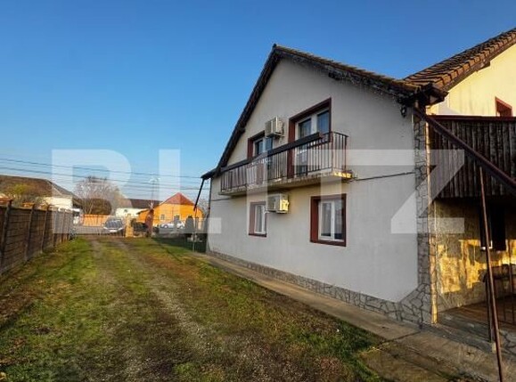Casa de vânzare 6 camere Peciu Nou - 184555CV | BLITZ Timișoara | Poza2