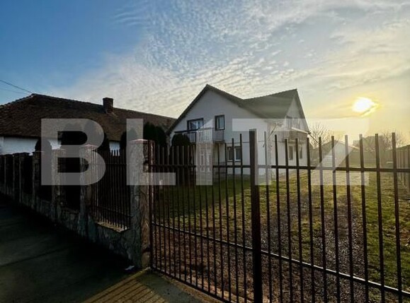 Casa de vânzare 6 camere Peciu Nou - 184555CV | BLITZ Timișoara | Poza1