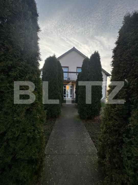 Casa de vânzare 6 camere Peciu Nou - 184555CV | BLITZ Timișoara | Poza4