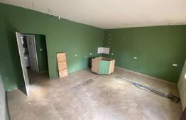 Spatiu comercial, 150 mp, zona Lipovei 