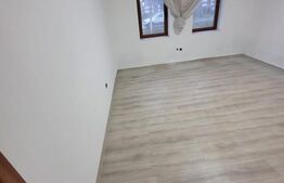 Casa de Vanzare Teremia Mare 