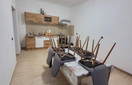 Casa de Vanzare Teremia Mare 