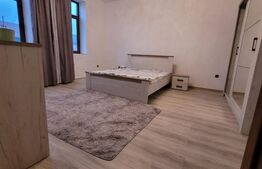 Casa de Vanzare Teremia Mare 