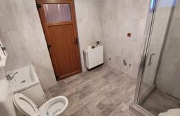 Casa de Vanzare Teremia Mare 