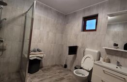 Casa de Vanzare Teremia Mare 