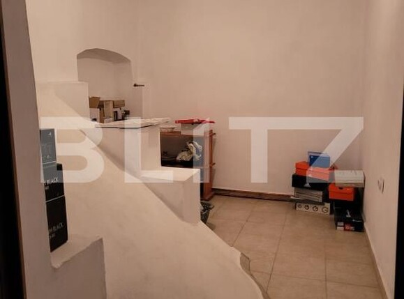 Casa de vânzare 4 camere Carpinis - 184768CV | BLITZ Timișoara | Poza13