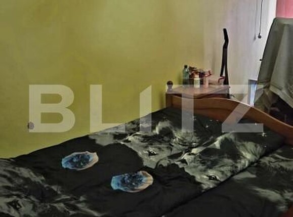 Apartament de vânzare 2 camere Cetatii - 184943AV | BLITZ Timișoara | Poza3