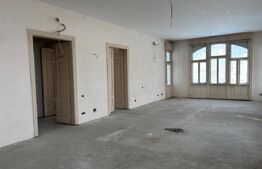 Apartament de vânzare, 365 mp, zona Ultracentral 